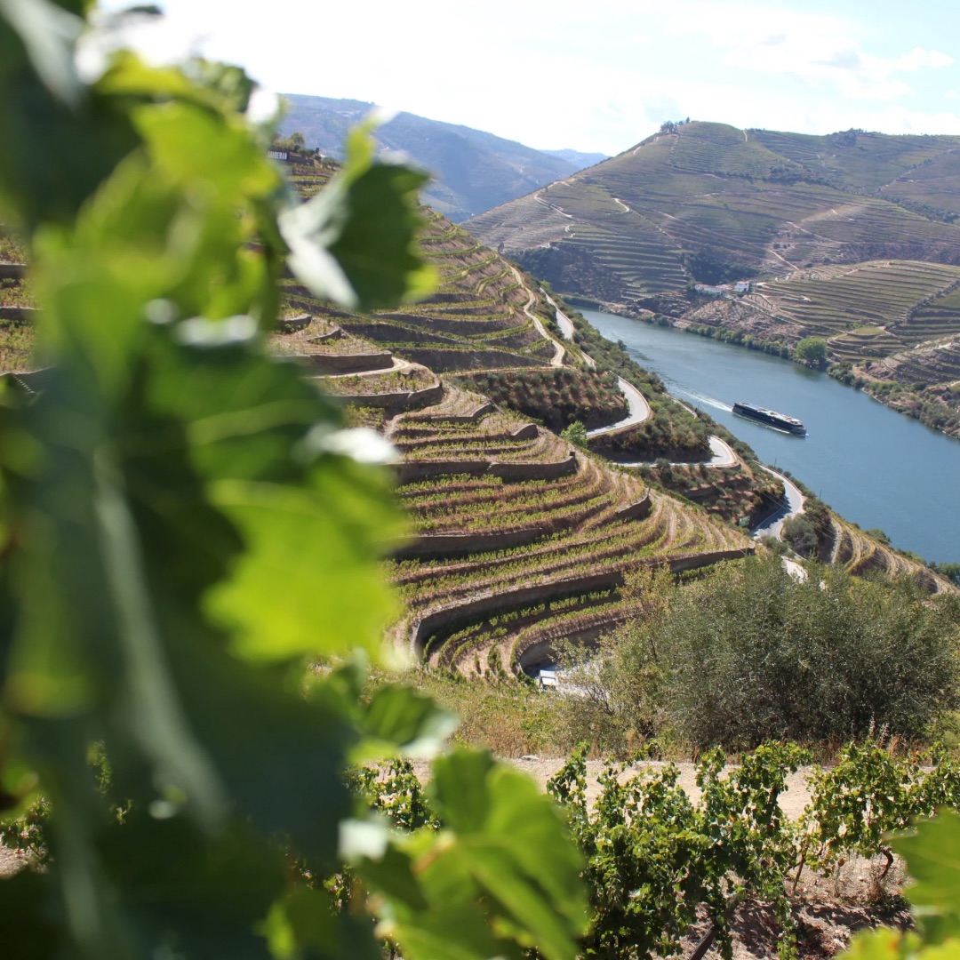 Douro Valley Porto Portugal Douro Valley Porto Portugal